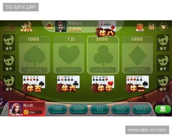 深入了解澳门百家乐游戏规则及玩法技巧提升获胜几率